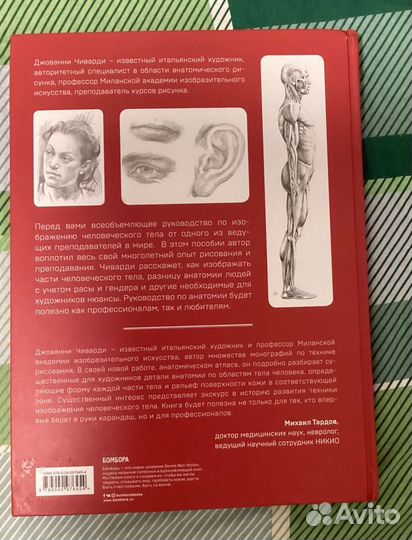 Книга по анатомии для художников