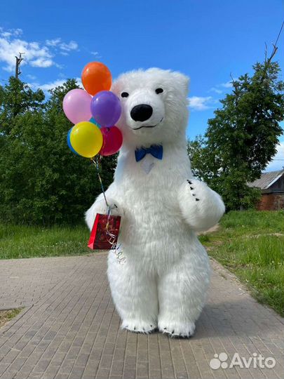 Поздравление Мишка Тедди и Большой Белый Мишка