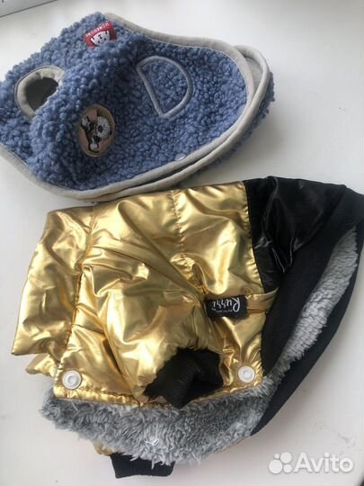 Одежда для собак мелких пород