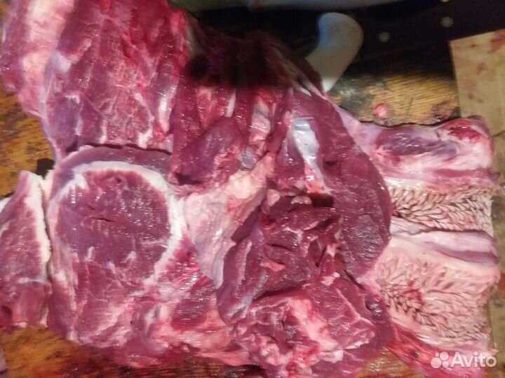 Кормление собак субпродуктами