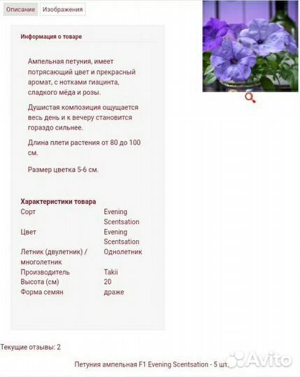 Рассада петунии