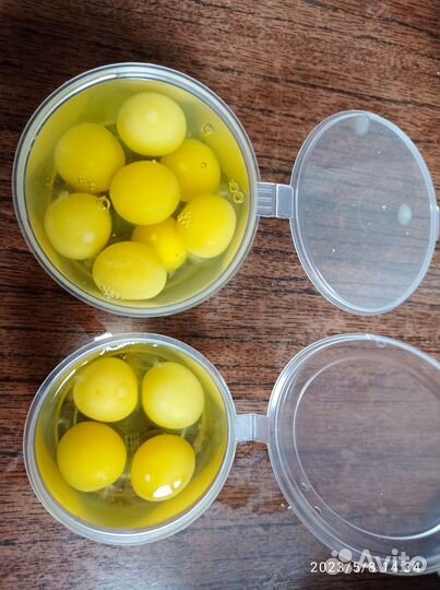 Меланж из перепелиных яиц