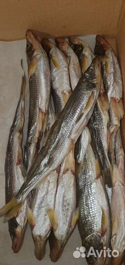 Корюшка икряная