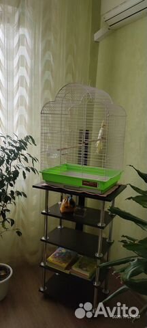 Продам стенд для попугая