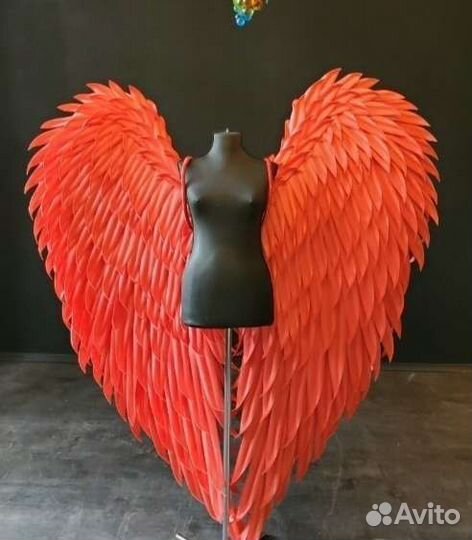 Красные Крылья Ангела,Прокат