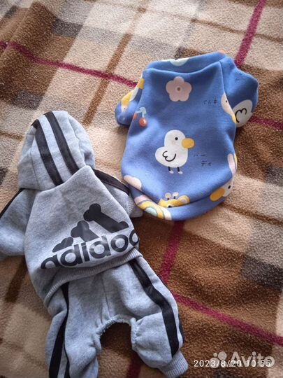 Одежда для маленькой собачки или щенка