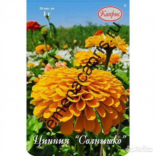 Рассада Циний