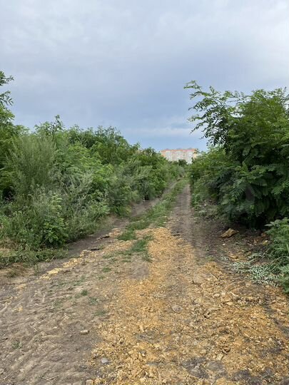 Участок 6 сот. (ИЖС)