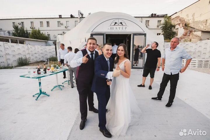 Ведущий Тамада Регистратор Диджей Шоу на Свадьбу