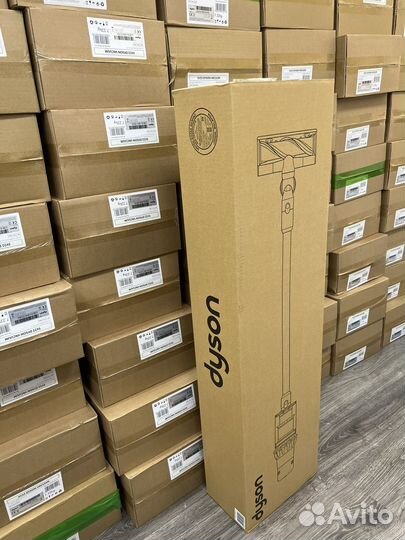 Dyson V15 Detect+, EU, Европа