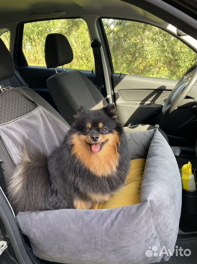 Автокресло для животных