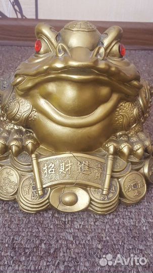 Лягушка большая