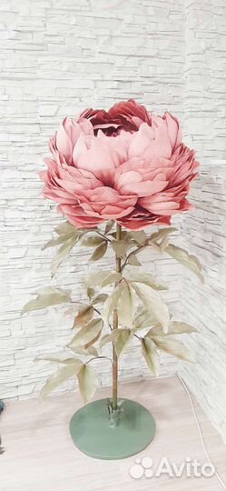 Цветок интерьерный