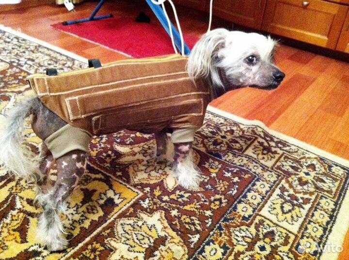 Корсеты для собак и кошек. Шейные корсеты