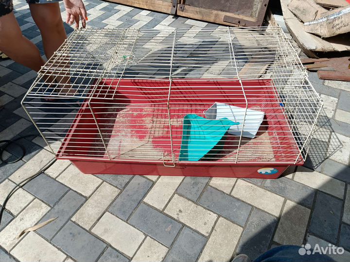 Клетка для грызунов бу