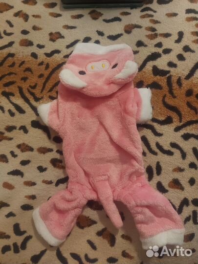 Одежда для собак