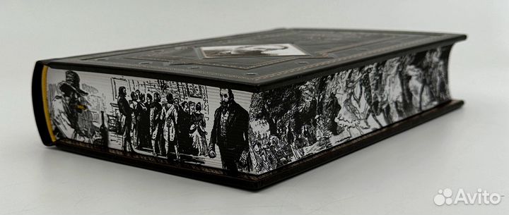 Золя Эмиль. Избранные произведения. В кожаном пере