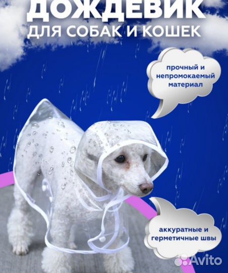 Одежда для собак