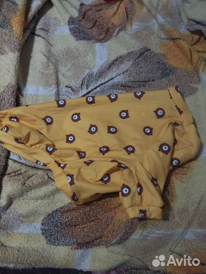 Одежда для собак