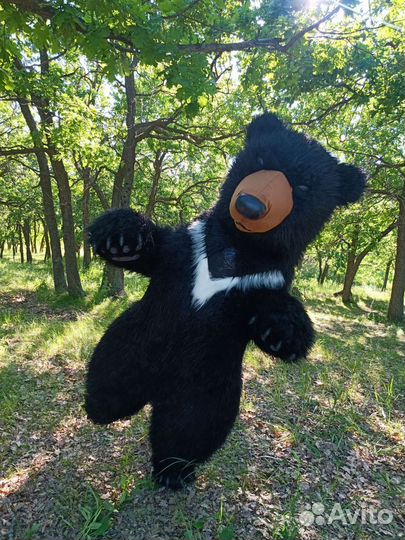 Белый мишка поздравление, Белый медведь Саратов