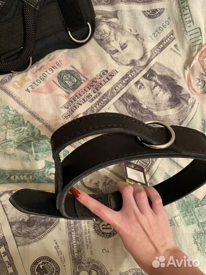 Шлейка для крупных собак