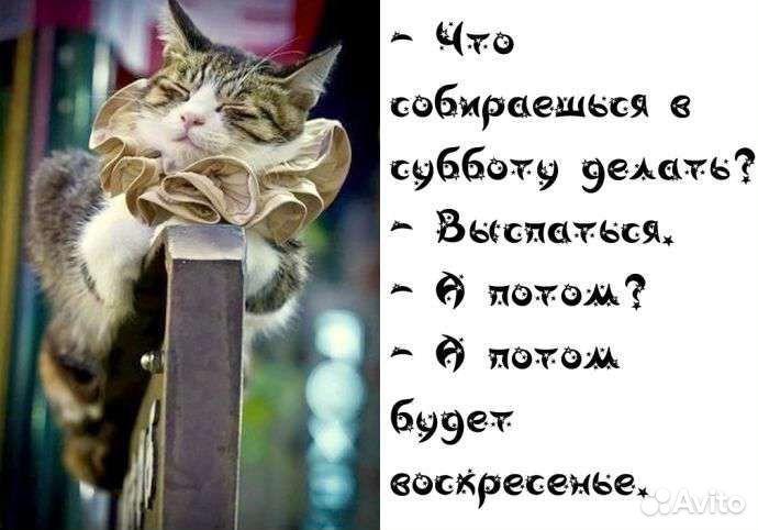 Банки стеклянные 3 литра