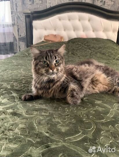 Плед покрывало 220/200 см