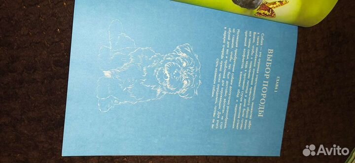 Самые популярные породы собак книга