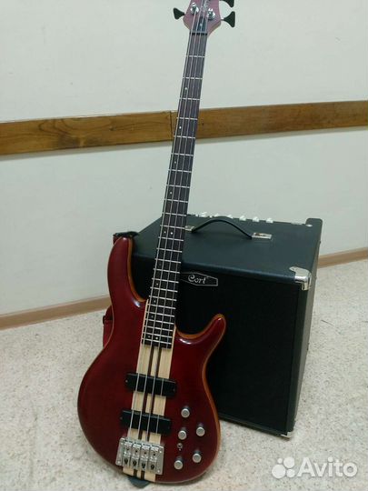 Басовый комбоусилитель