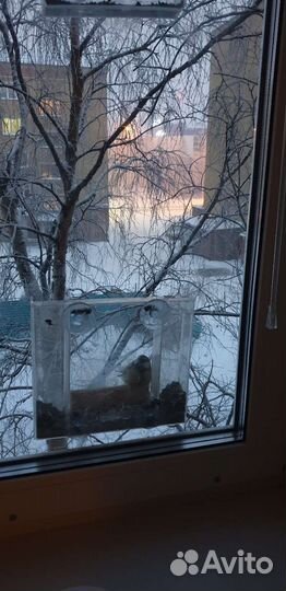 Кормушки для птиц