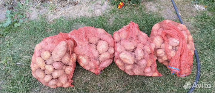 Картофель деревенский с доставкрй