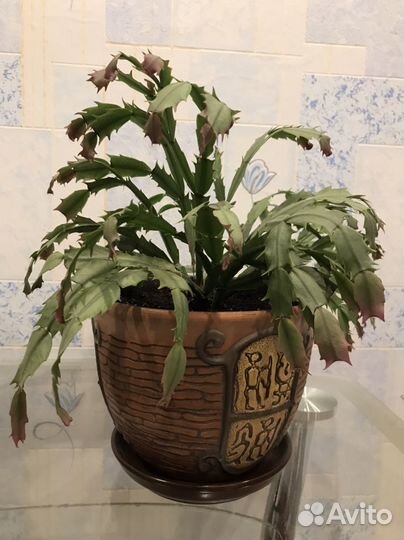 Горшок для цветов