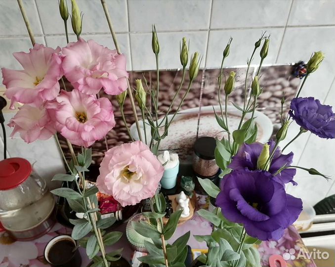 Эустома-лизиантус