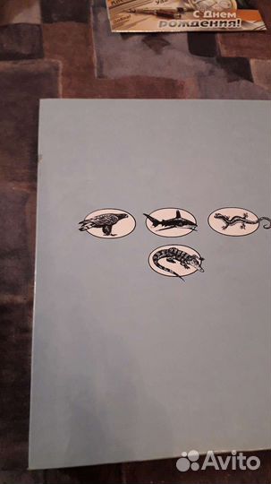 Деская энциклопедия Акимушкина