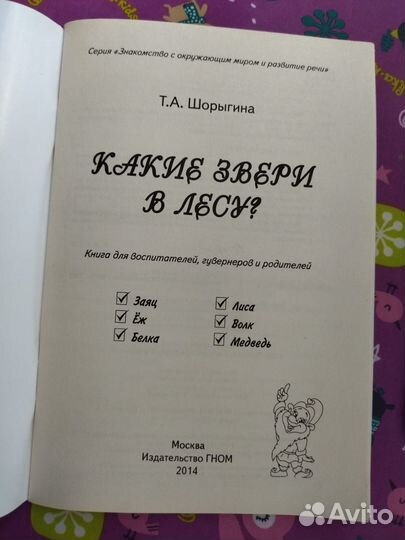 Какие звери в лесу Какие месяцы в году