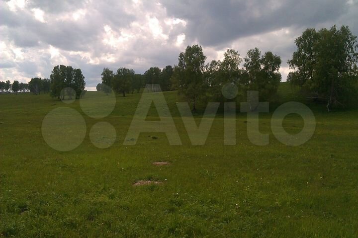Участок 13,5 га (СНТ, ДНП)
