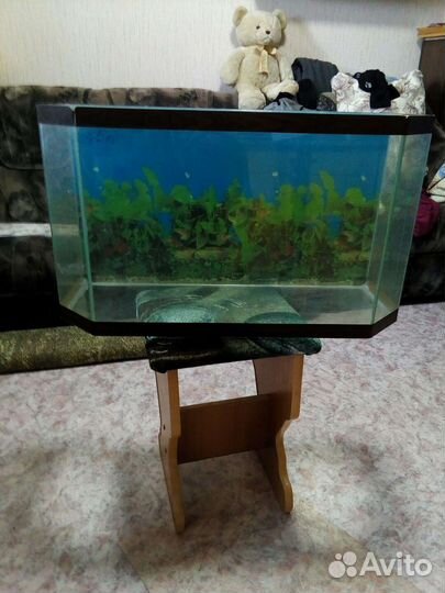 Аквариум