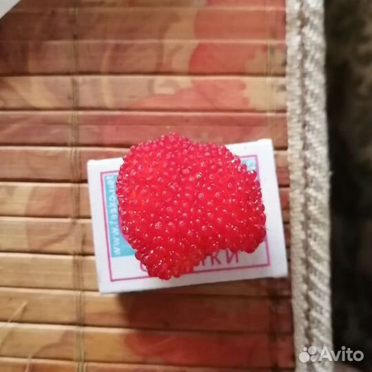 Тибетская малина саженцы