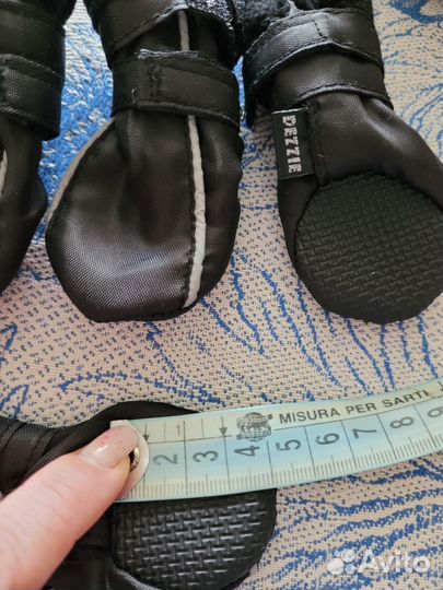 Одежда для собак мелких пород