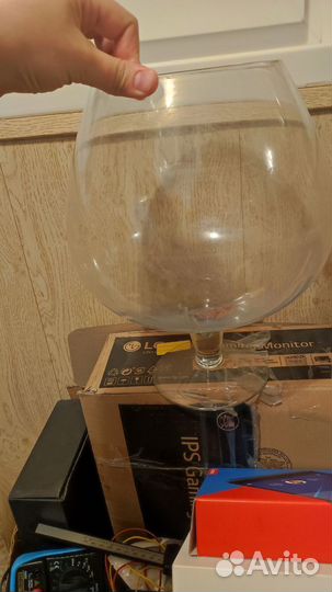 Аквариум бокал