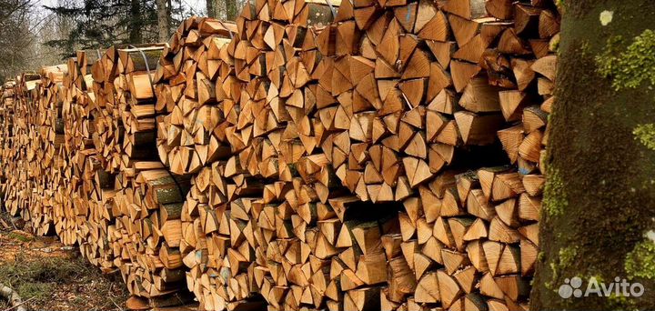 Дрова дрова