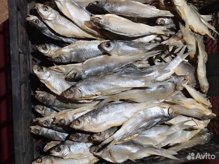 Астраханская вобла с икрой сушёная