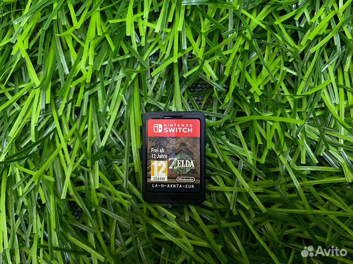 The Legend of zelda Tears of the kingdom NS