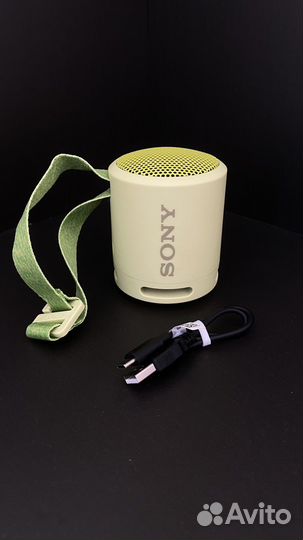 Портативная колонка Sony