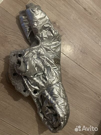 Одежда для маленьких собак s