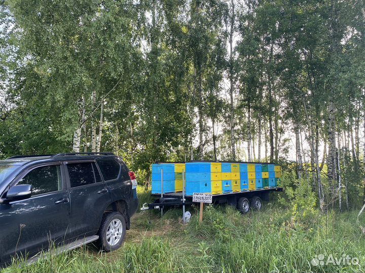 Пасека,пчелы,улья,прицеп