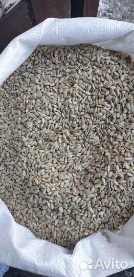 Подсольнечник Ядро Полосатая семечка Лён(Оптом)