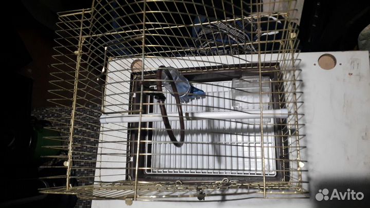 Клетка для попугая