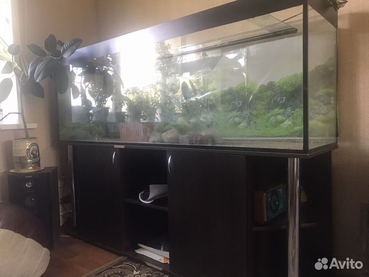 Аквариум с тумбой 700л