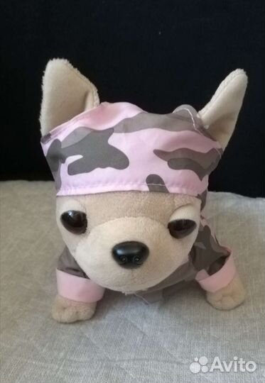 Собачка Chi Chi Love чичилав